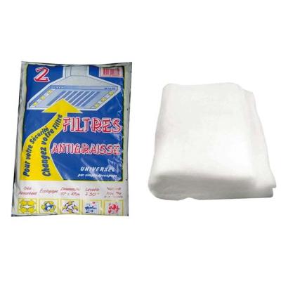 SACHET (X2) FILTRES ANTI-GRAISSE,117X47C