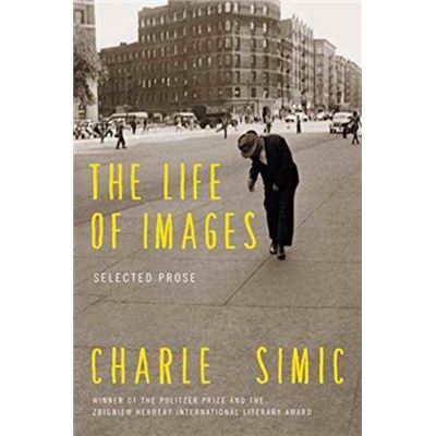 Life Of Images