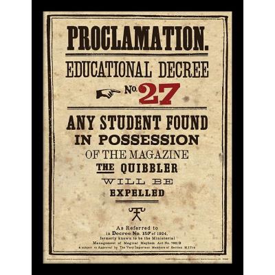 HARRY POTTER - Framed 30X40 Print - Educational Decree No. 27