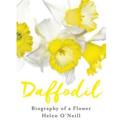 Daffodil - [Version Originale]