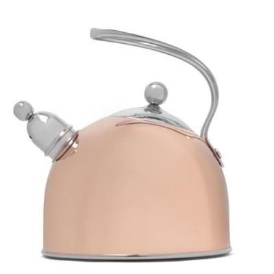 Bouilloire Bredemeijer 2,5 L