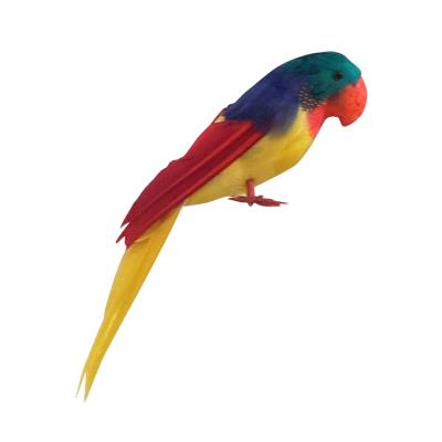 Perroquet tweets