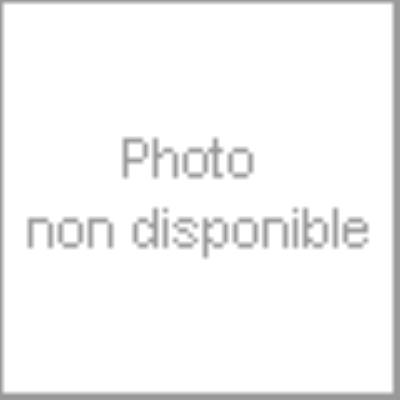 Housse etui coque cuir NOIR pour Apple iPhone 4S / iPhone 4 + film ecran