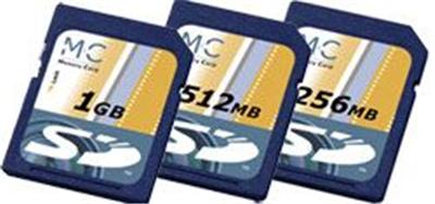 Carte mémoire Secure Digital (SD) en 2 giga (2Gb)