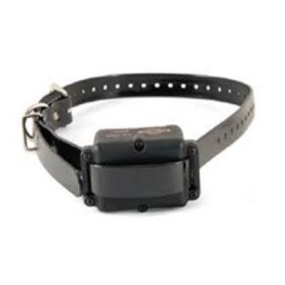 Collier supplémentaire 250 m trainer petsafe