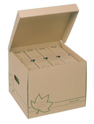 Fast - Container + 4 Boite Archive Dos 8Cm Economique