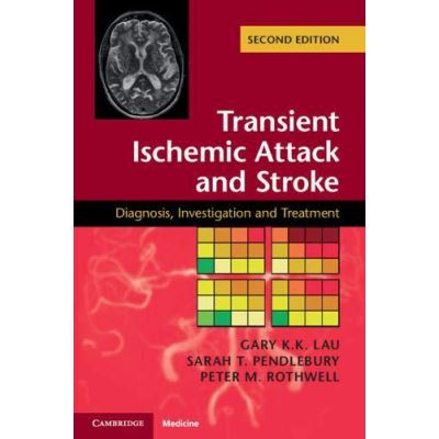 Transient Ischemic Attack and Stroke: Diagnosis, Investigation and Treatment - [Version Originale]