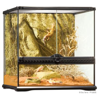 Comparer les prix de Exo Terra - Terrarium en Verre pour Reptile - 45x45x45cm