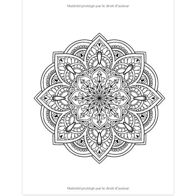 Livre de coloriage adultes 100 mandalas anti-stress : Mandala