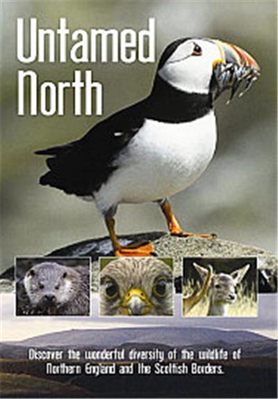 Untamed North