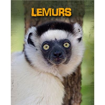 Lemurs (Living In The Wild: Primates) (Paperback)