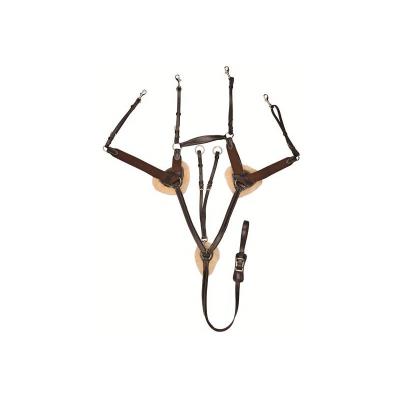 Collier de chasse cinq points Havane Poney