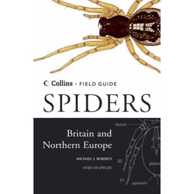 Spiders of Britain and Northern Europe