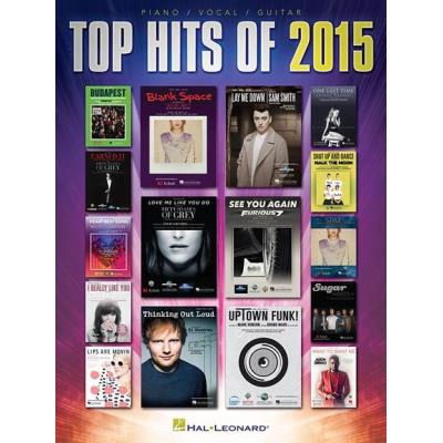 Top Hits Of 2015 P/V/G