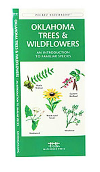 Oklahoma Trees & Wildflowers, Pocket Naturalist Series