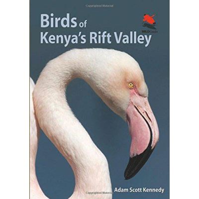 Birds of Kenya's Rift Valley (Wildlife Explorer Guides) - [Version Originale]