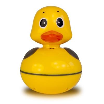Karcher - dr 14 - radio canard flottant