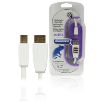 Mini-câble pour adaptateur de port décran vidéo bandridge bbm37400w10