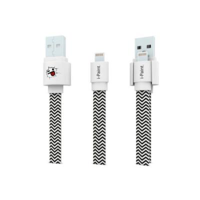 Chargeur mobile IPAINT Waves 1M
