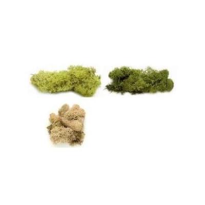 Glorex nature, islande moss, 50 g 63803610