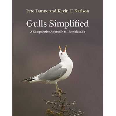 Gulls Simplified: A Comparative Approach to Identification - [Version Originale]