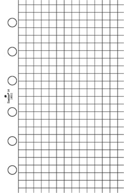 Recharge Organiseur Exatime 14 quadrillé 5x5cm 32 feuillets