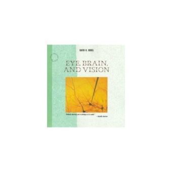 Eye, Brain, and Vision (Scientific American Library)