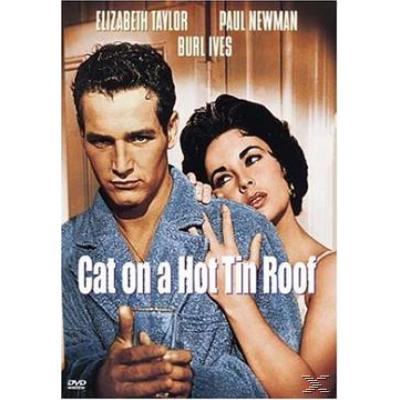 Cat On A Hot Tin Roof