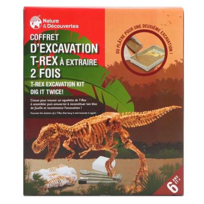 Coffret d'excavation squelette T-Rex