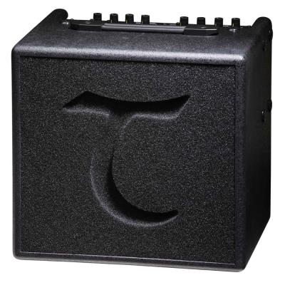 Amplis et effets TANGLEWOOD T3 AMPLI ELECTRO ACOUSTIQUE 30W Amplis electro-acoustiques