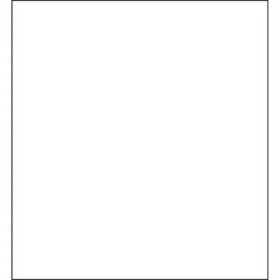 Savage Infinity Pro charpie fond de tissu (10 x 10' , ProWhite)