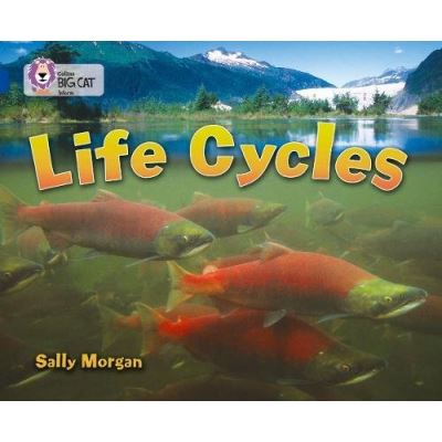 Life Cycles Sally Morgan
