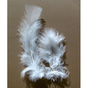PLUME DE DECORATION ,B02--Plumes de cygne roses blanches , 100 pièces , Plumes'oie naturelles