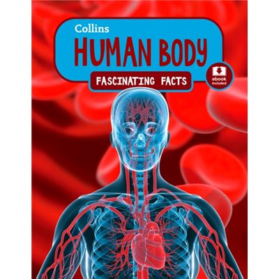 Human Body (Collins Fascinating Facts) (Paperback)