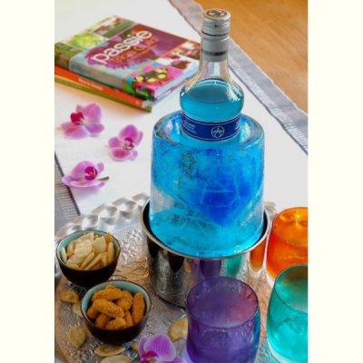 CEDIFF - ICE COOLER ,moule à rafraichisseur de glace*