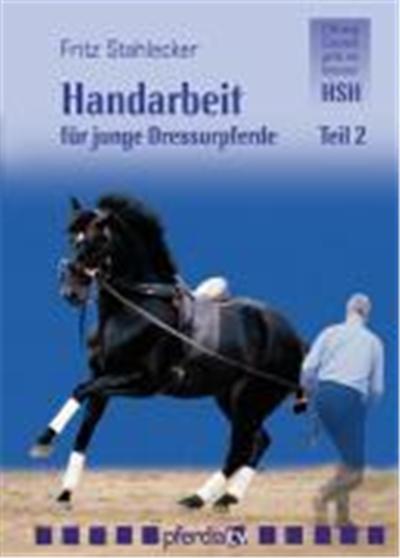 Handarbeit für junge Dressurpferde 02