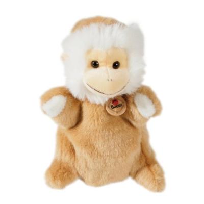 SINGE