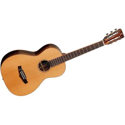 Tanglewood Exotic Java PE guitare électro-acoustique