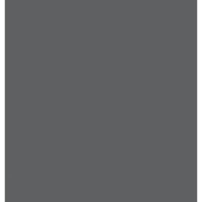 Savage Infinity Pro charpie fond de tissu (10 x 10' , ProGray)