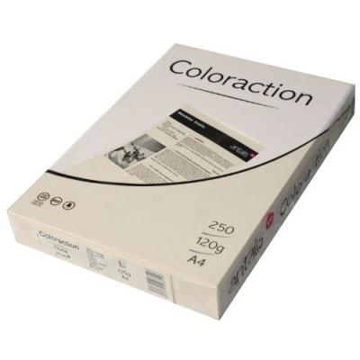 Coloraction 838A 120S 50 Antalis Papier couleur A4 120 g/m Crème/50 Import Allemagne