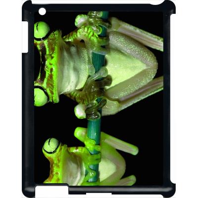 Coque pour apple ipad 3 deux grenouilles vertes suspendues