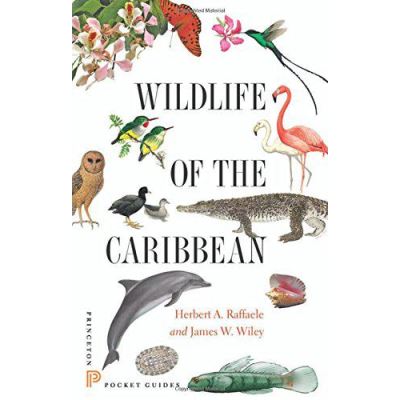 Wildlife of the Caribbean - [Version Originale]
