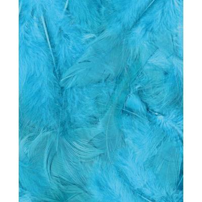 Plumes - Turquoise 3 g - Ébouriffées - Lg 8 à 12 cm