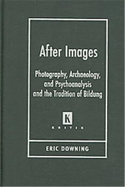 After Images, Kritik German Literary Theory and Cultural Studies