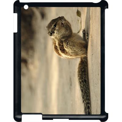 Coque pour apple ipad 3 petit ecureuil