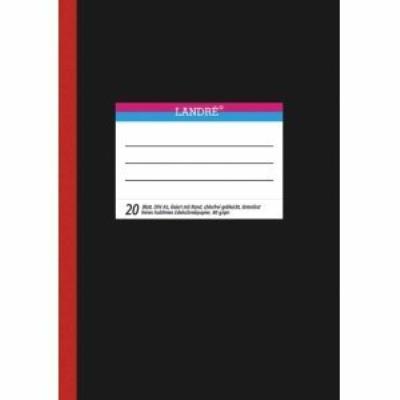Cahier école a4 20 feuilles 80g m² ligné avec bords landre 100050650