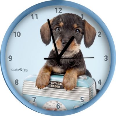 Horloge murale Teckel 25 cm bleu
