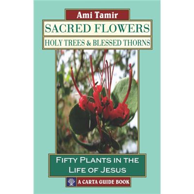 Sacred Flowers Holy Trees/Blessed Thorns