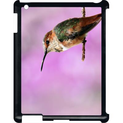 Coque pour apple ipad 3 martin pecheur