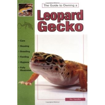 Leopard Geckos - 1